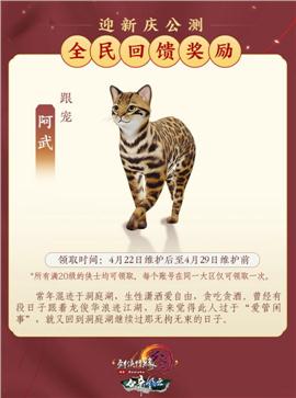 天龙八部31.45版私服